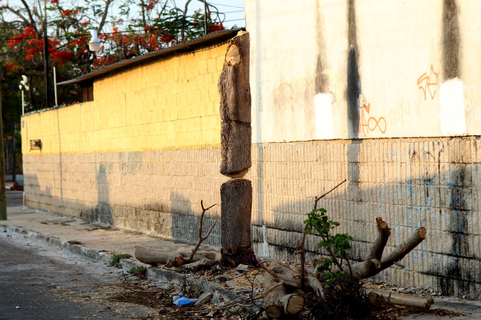 Imagen de WhatsApp 2024 05 11 a las 07.19.54 aafb876e