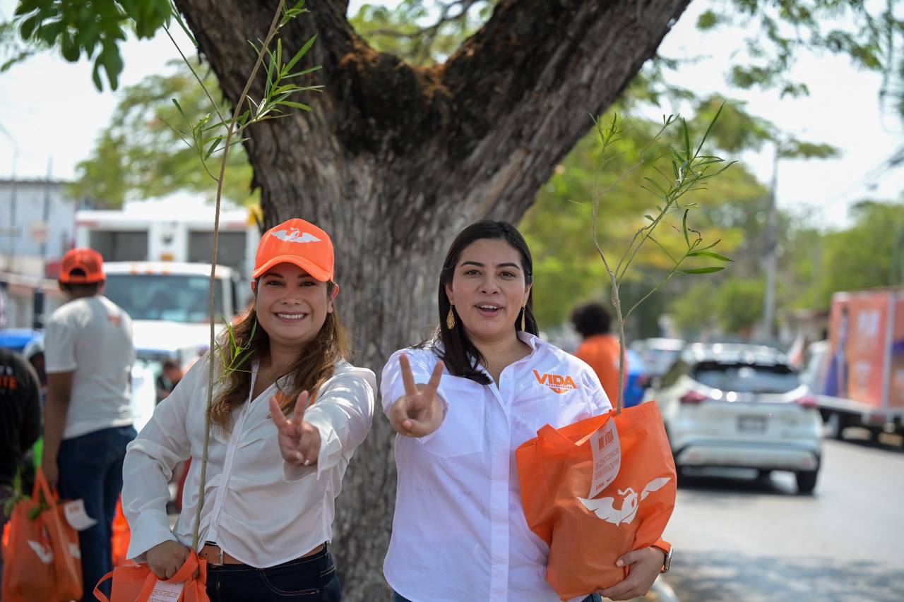 Imagen de WhatsApp 2024 05 11 a las 16.30.09 bbd3f581