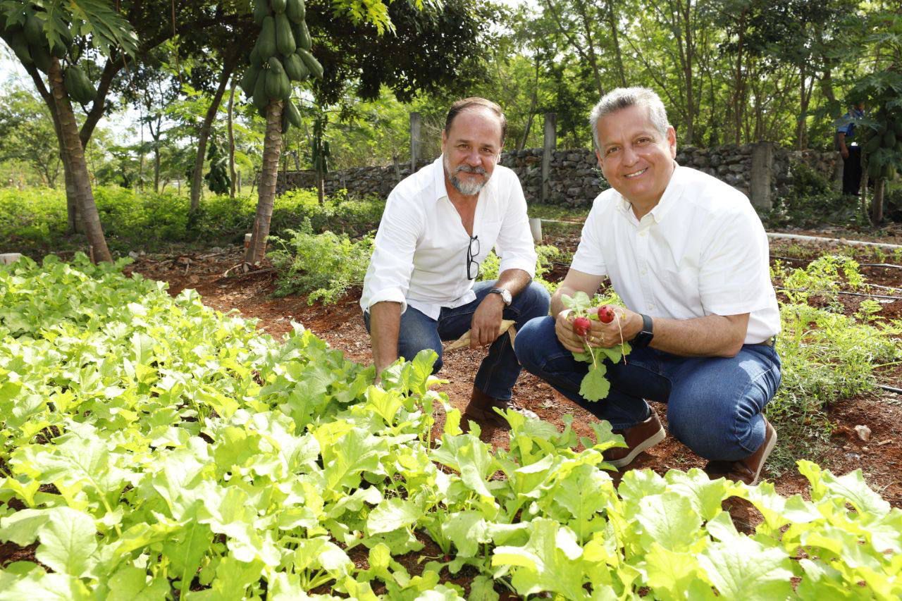 Imagen de WhatsApp 2024 06 22 a las 12.02.41 2fe43c4a