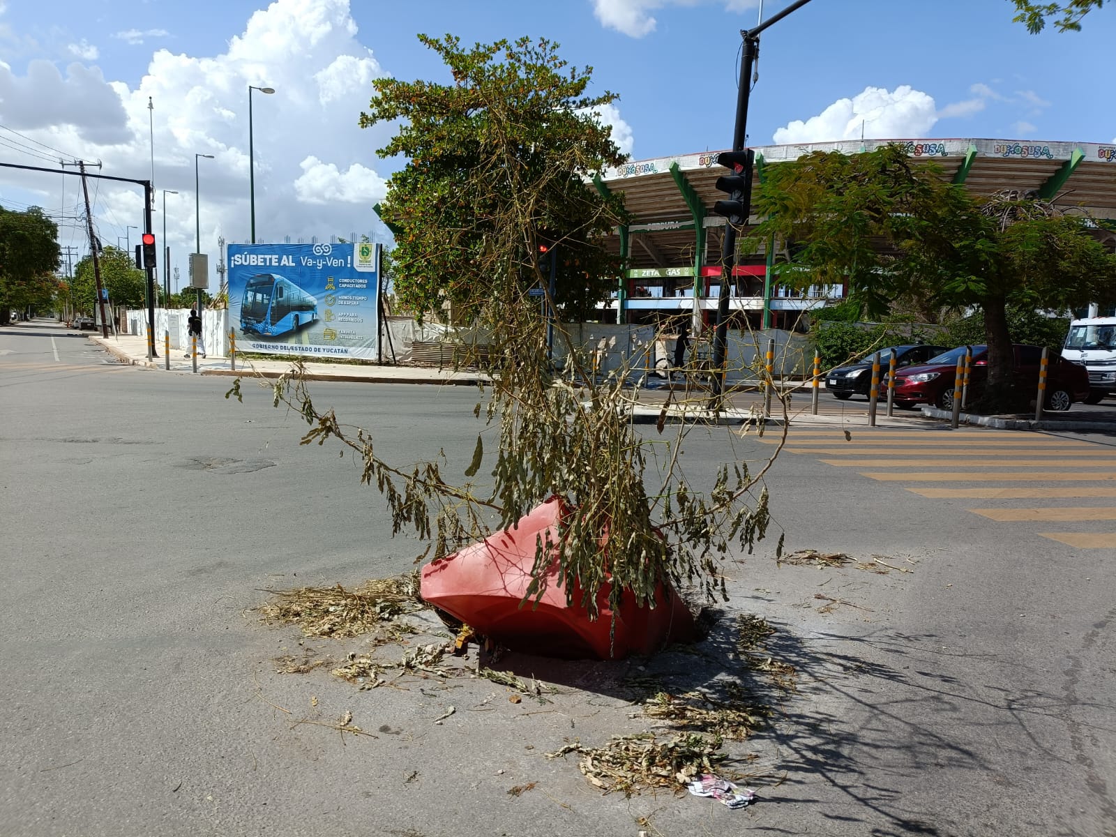 Imagen de WhatsApp 2024 06 29 a las 09.08.29 50d1e7a1