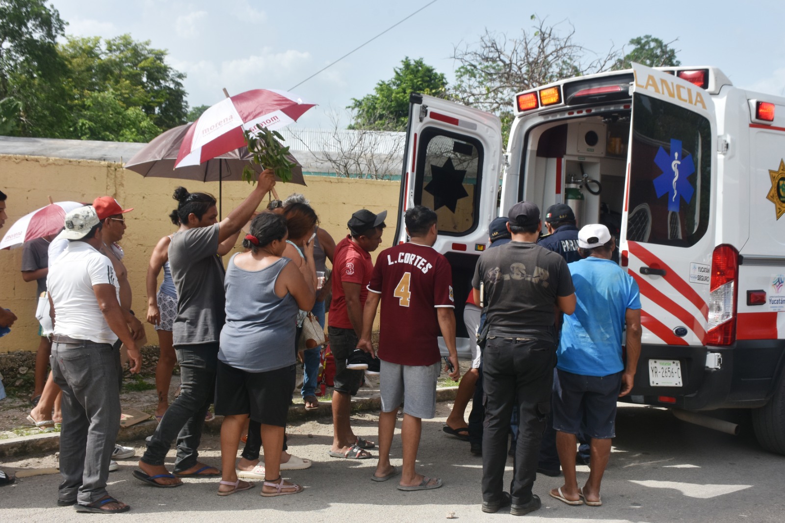 Imagen de WhatsApp 2024 07 14 a las 06.32.46 2e74a7ef