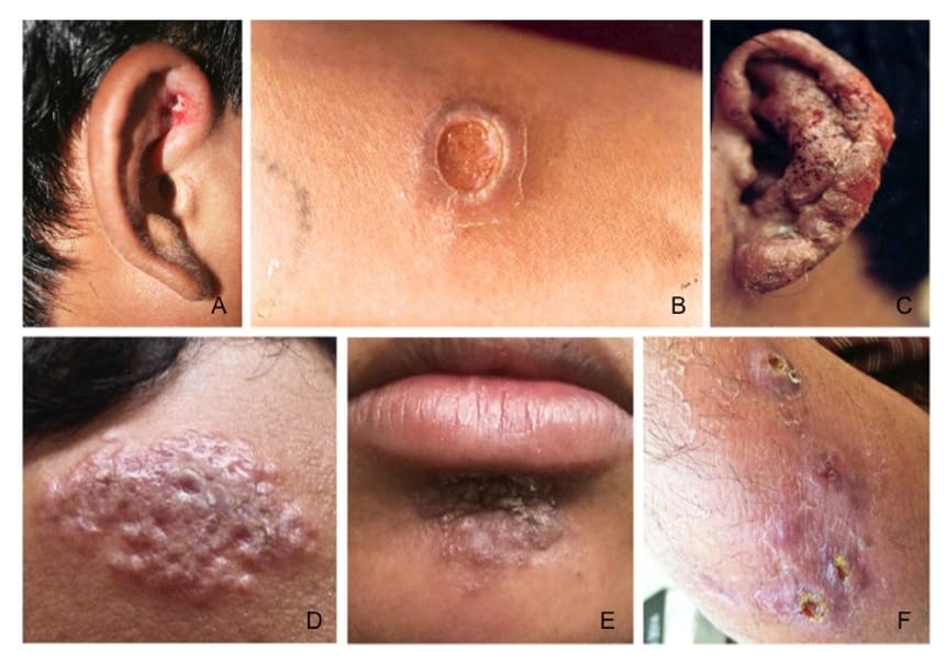 Imagen de WhatsApp 2024 07 14 a las 06.37.24 b4ccda18