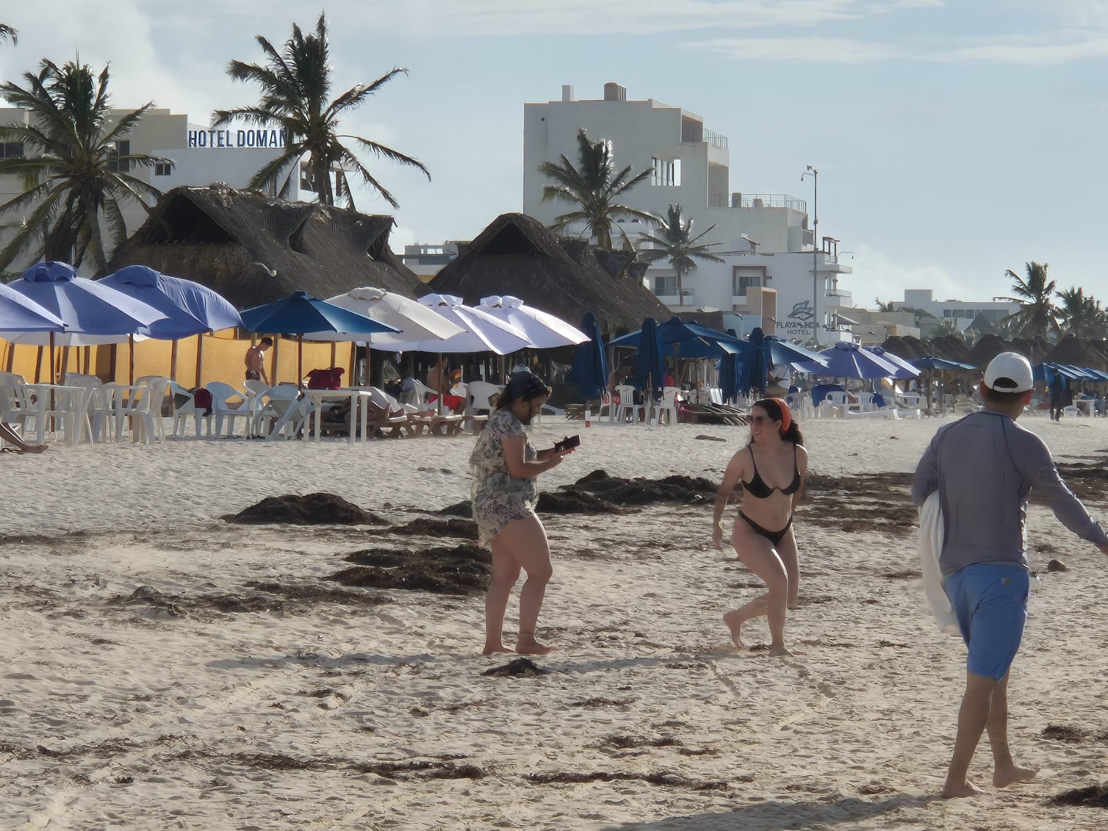 Imagen de WhatsApp 2024 07 20 a las 10.14.47 93fd3cc6