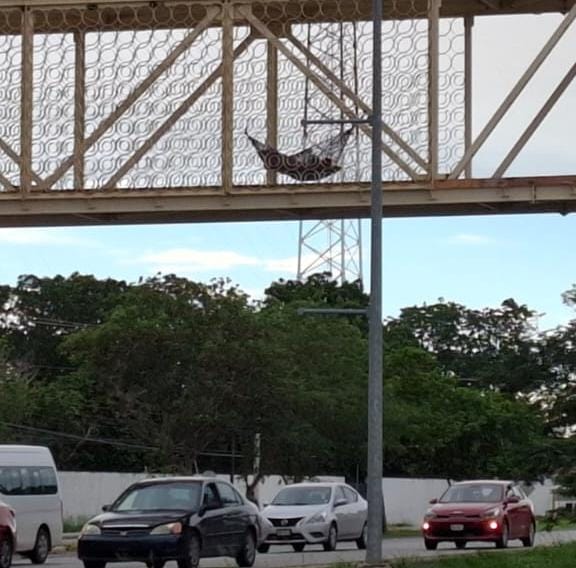 Imagen de WhatsApp 2024 07 20 a las 10.26.26 736c9cfd