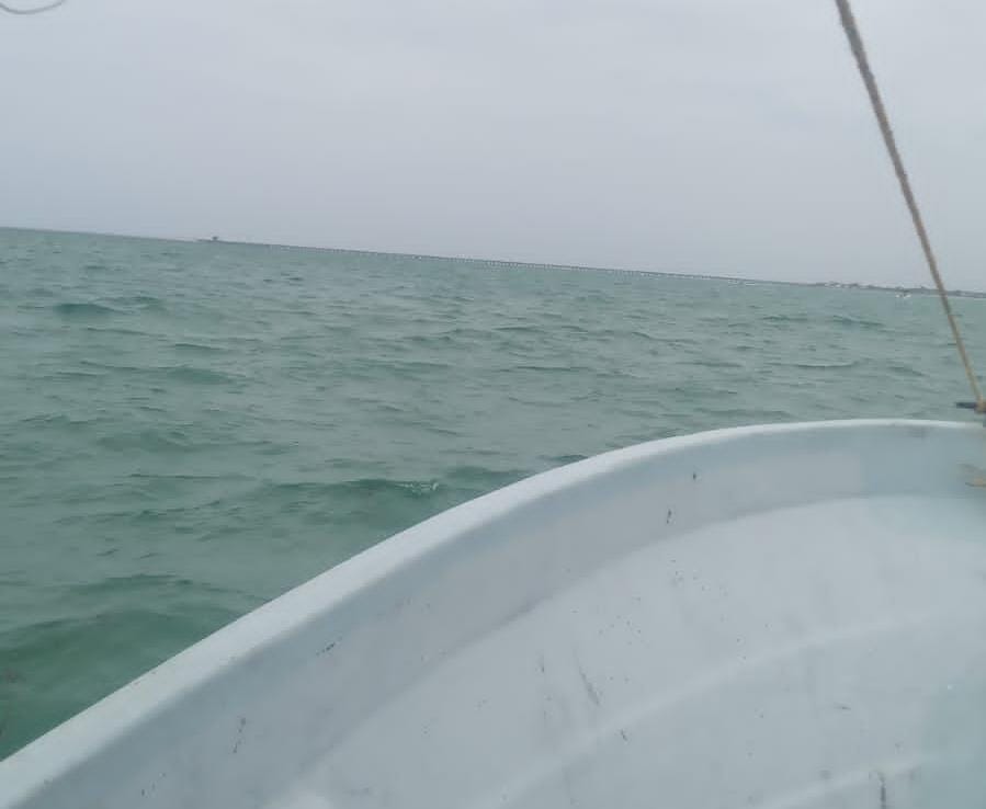 Imagen de WhatsApp 2024 07 20 a las 12.40.06 56e5b61e