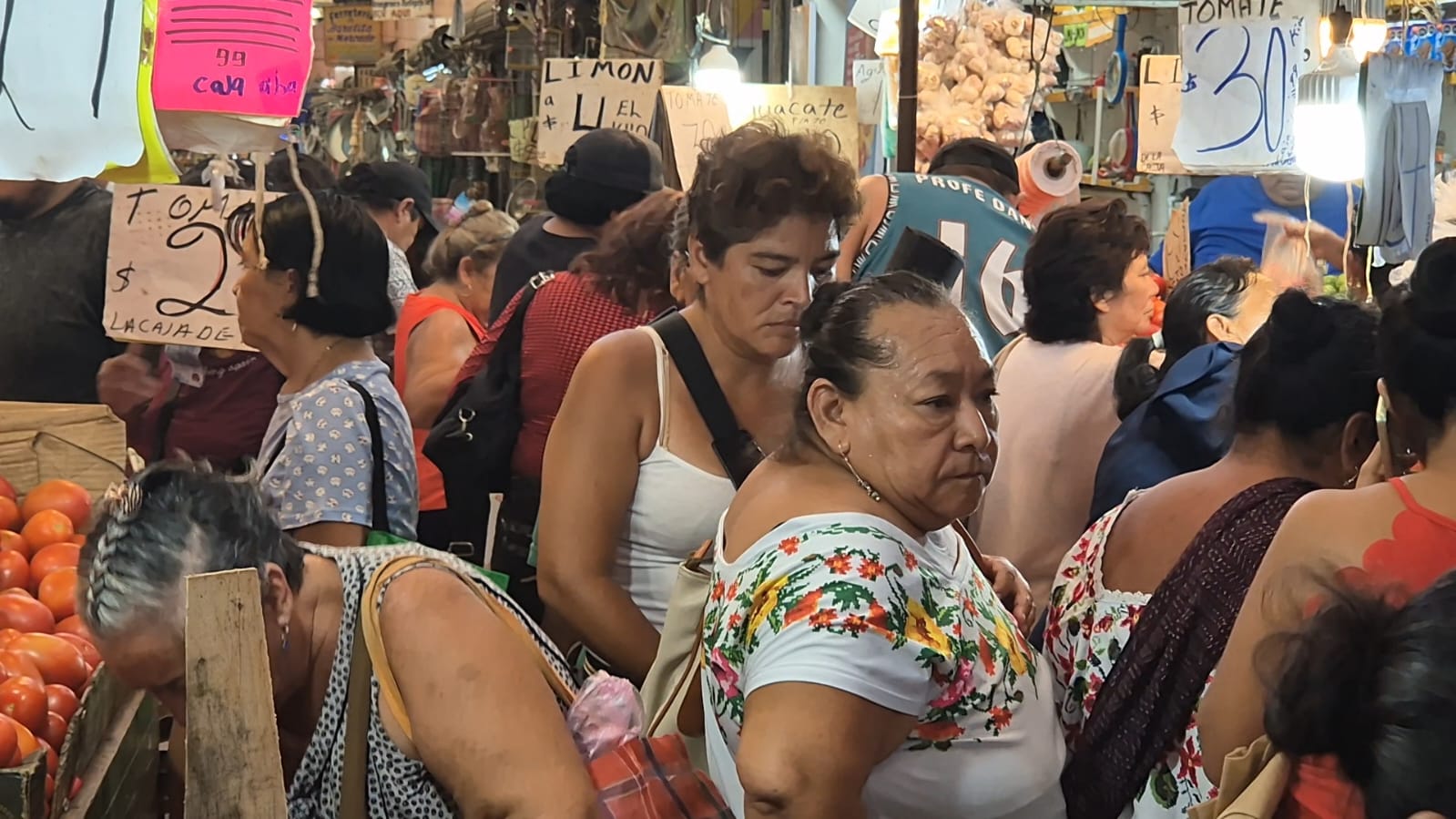 Imagen de WhatsApp 2024 07 27 a las 10.10.16 ec8d3851