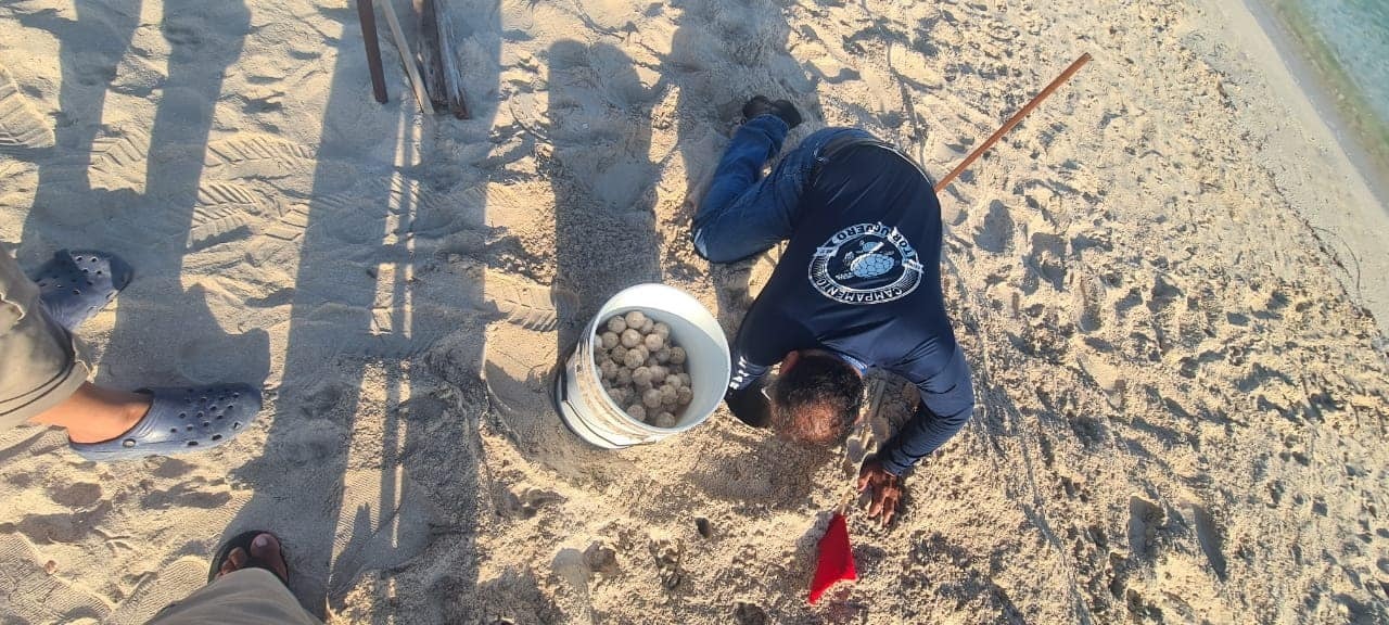 Imagen de WhatsApp 2024 07 27 a las 10.10.53 55277ebd