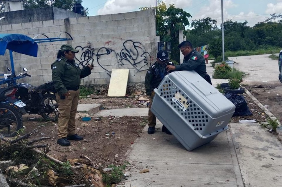 Imagen de WhatsApp 2024 07 27 a las 13.59.30 8483876b