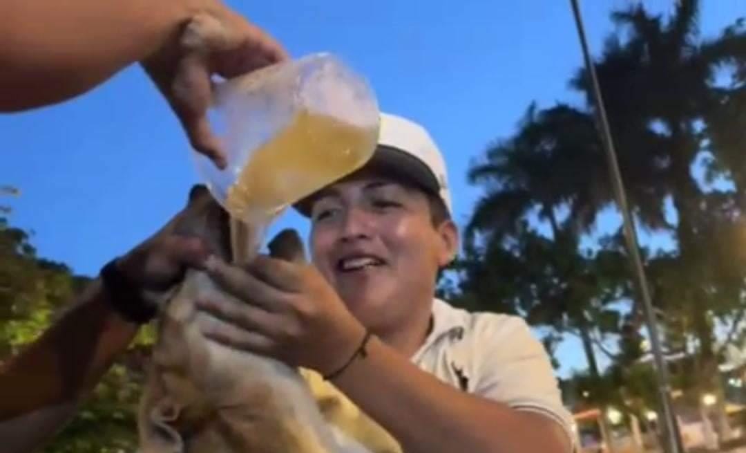 IMG 20240805 WA0042(2)