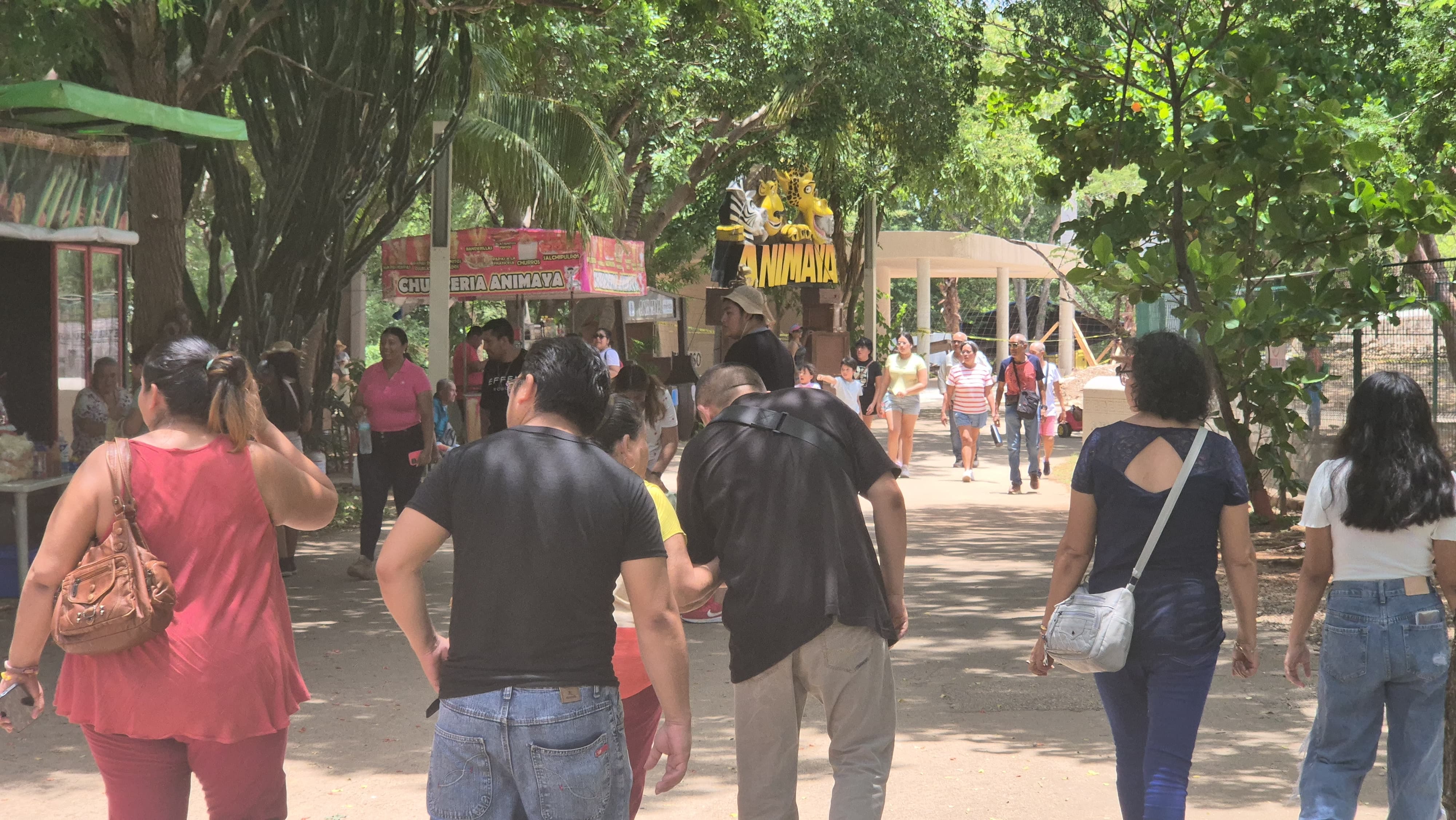 Imagen de WhatsApp 2024 08 03 a las 13.06.56 68d2b52a