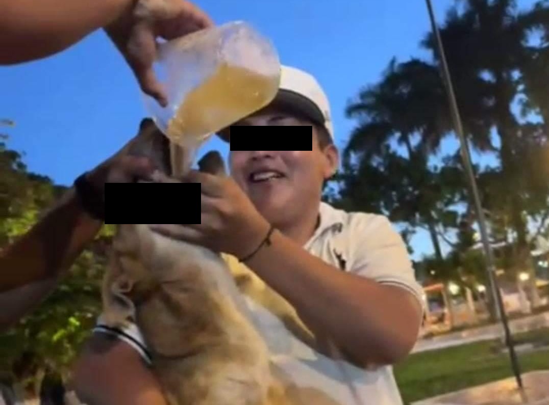 Imagen de WhatsApp 2024 08 05 a las 15.46.24 2b64bf6c