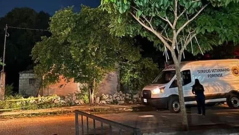 Imagen de WhatsApp 2024 10 12 a las 09.29.10 eee73a2b