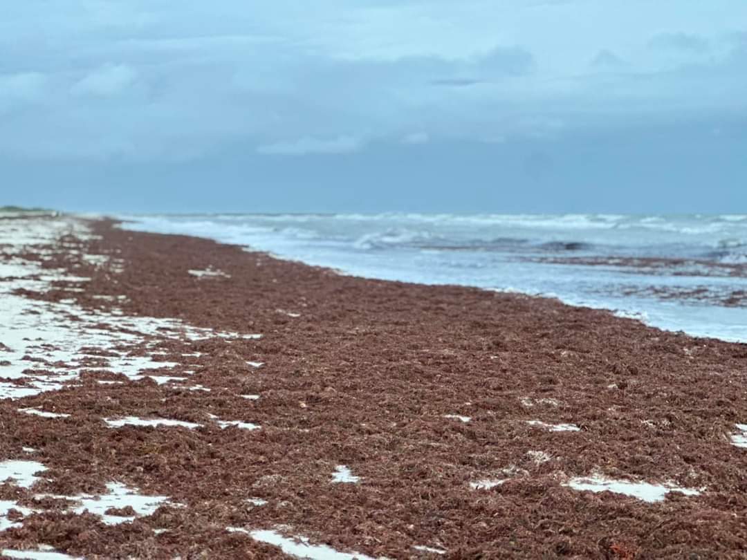 Imagen de WhatsApp 2024 10 19 a las 12.09.34 d986c29a