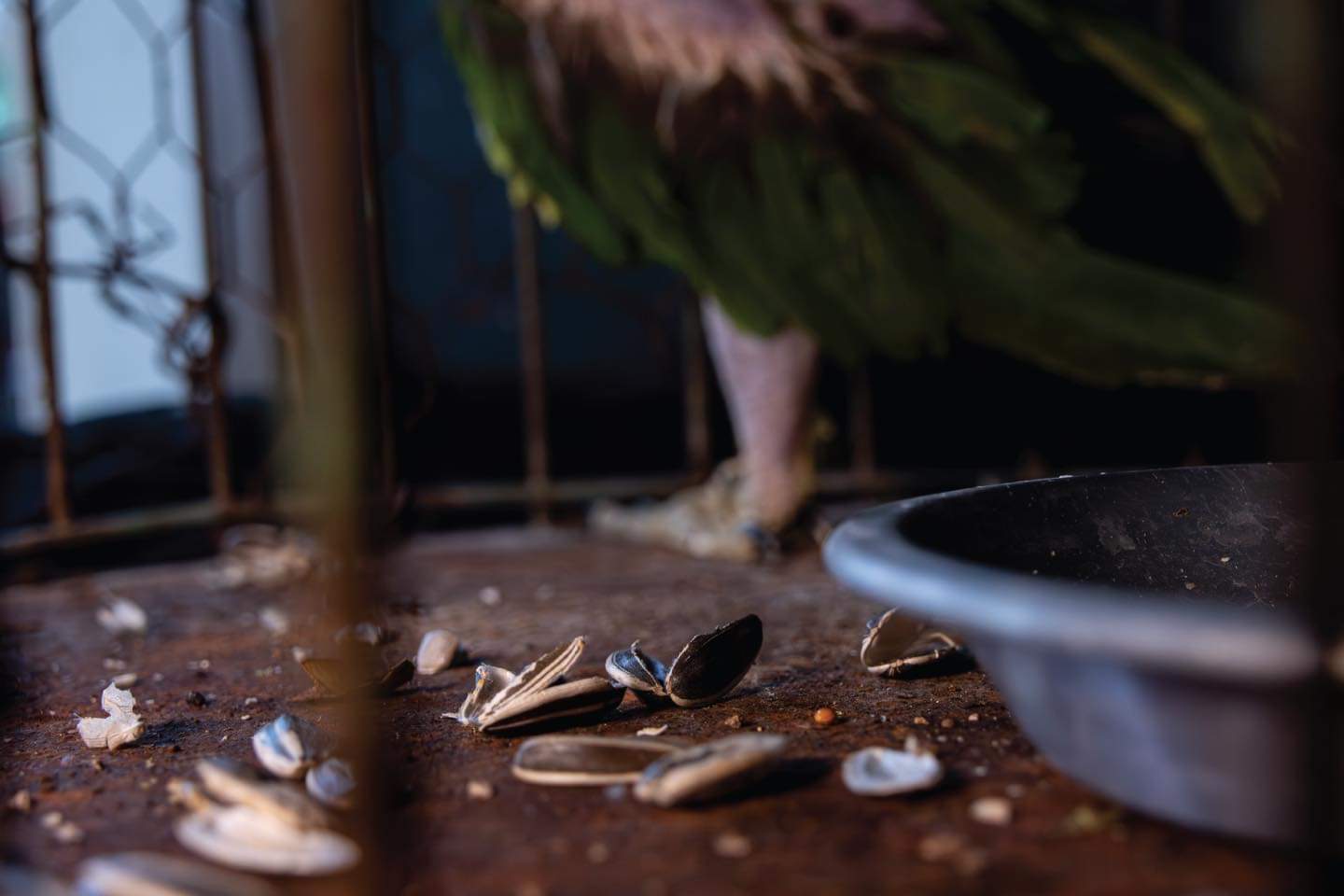 Imagen de WhatsApp 2024 10 19 a las 12.15.04 da38d0b5