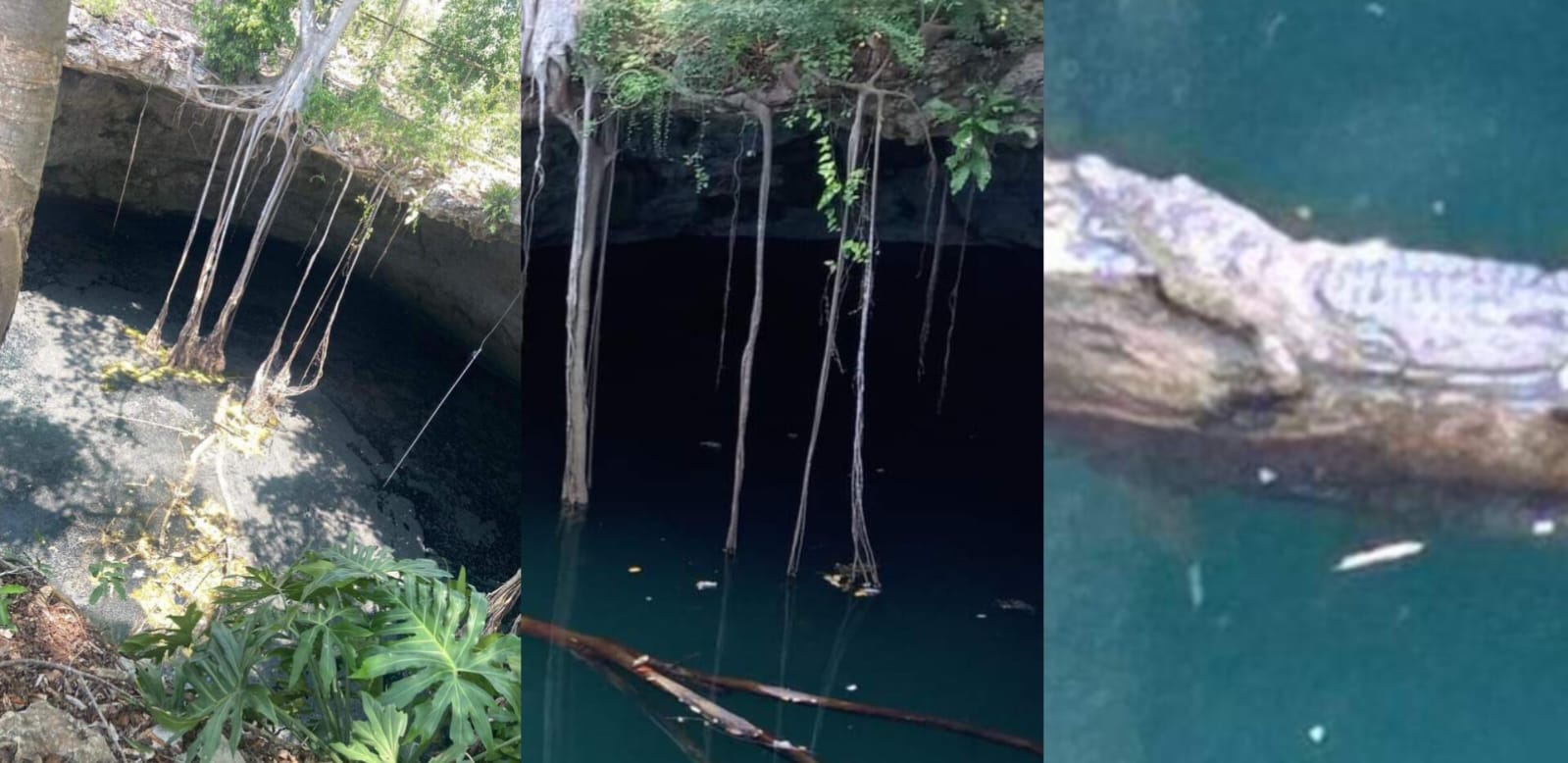 Imagen de WhatsApp 2024 10 26 a las 10.28.13 f5c06fdc