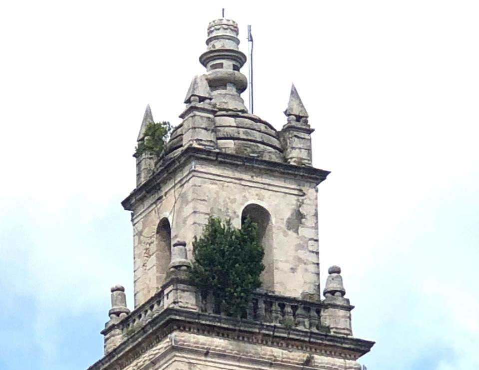 Imagen de WhatsApp 2024 11 02 a las 09.45.36 9e51d362