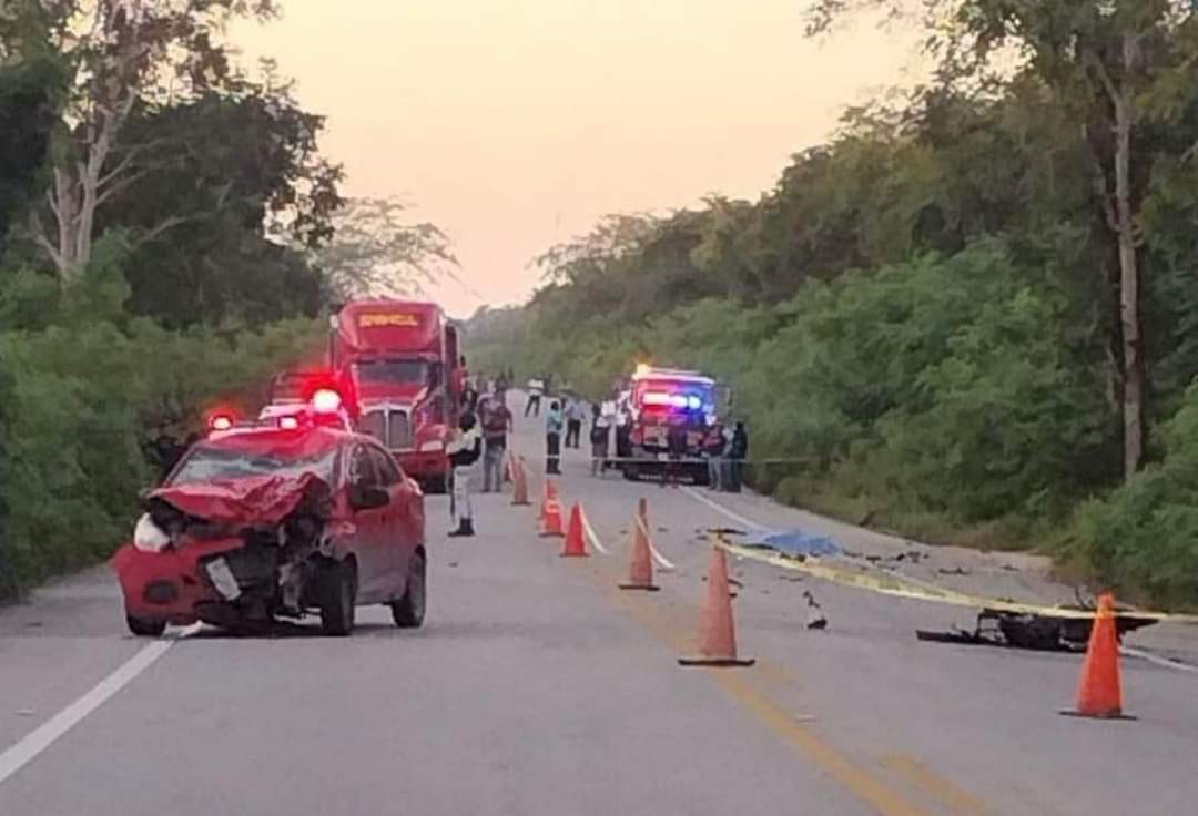 Imagen de WhatsApp 2024 11 02 a las 11.28.56 26f7fb09