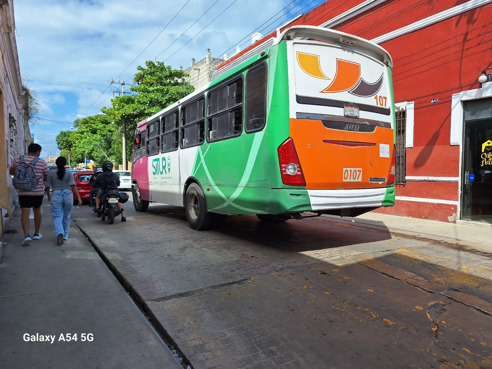 Imagen de WhatsApp 2024 11 16 a las 10.48.09 f6b608cf