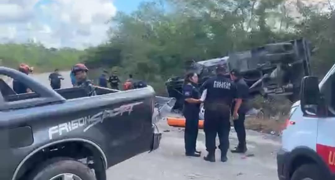 Imagen De Whatsapp 2024 12 07 A Las 11.30.07 F45c8fad