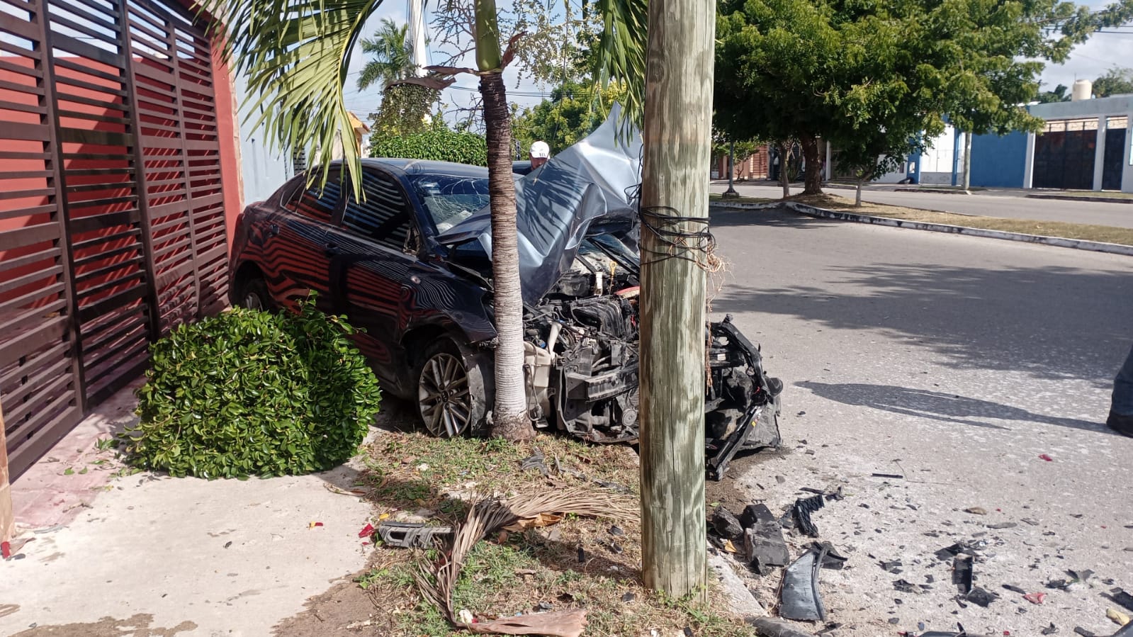 Imagen De Whatsapp 2024 12 14 A Las 10.37.32 Ba6c6cc2