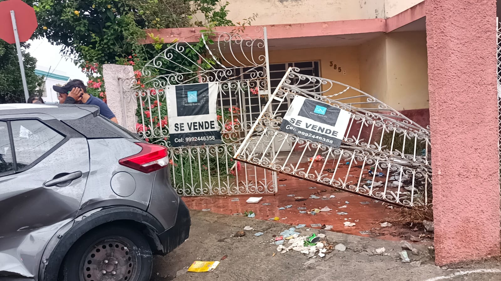 Imagen De Whatsapp 2024 12 21 A Las 10.12.11 Adff24e2