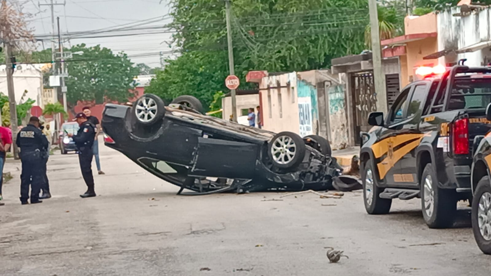 Imagen De Whatsapp 2024 12 21 A Las 11.48.22 B8a934b4