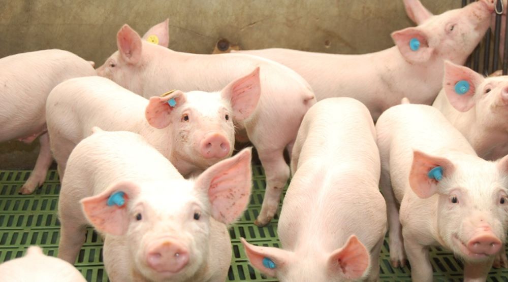 Imagen De Whatsapp 2024 12 21 A Las 14.26.01 6ddabbdf