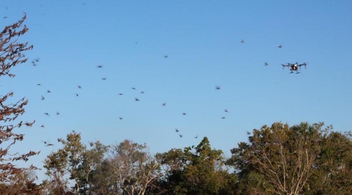 Img 20250121 Wa0004(1)