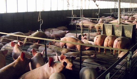 Imagen De Whatsapp 2025 01 04 A Las 10.46.35 Cf8aeb50