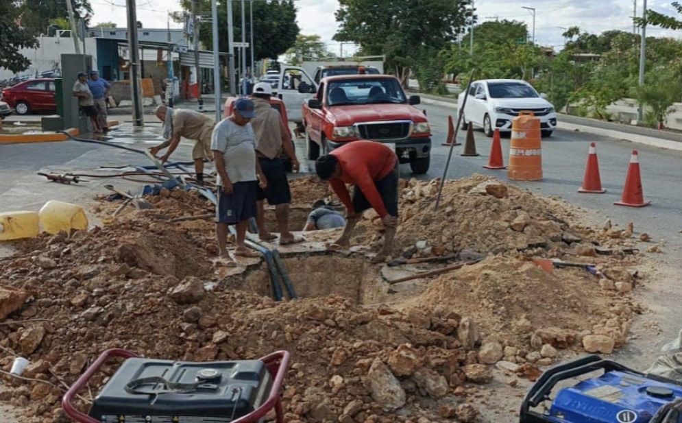 Imagen De Whatsapp 2025 01 10 A Las 20.17.05 33b14b32