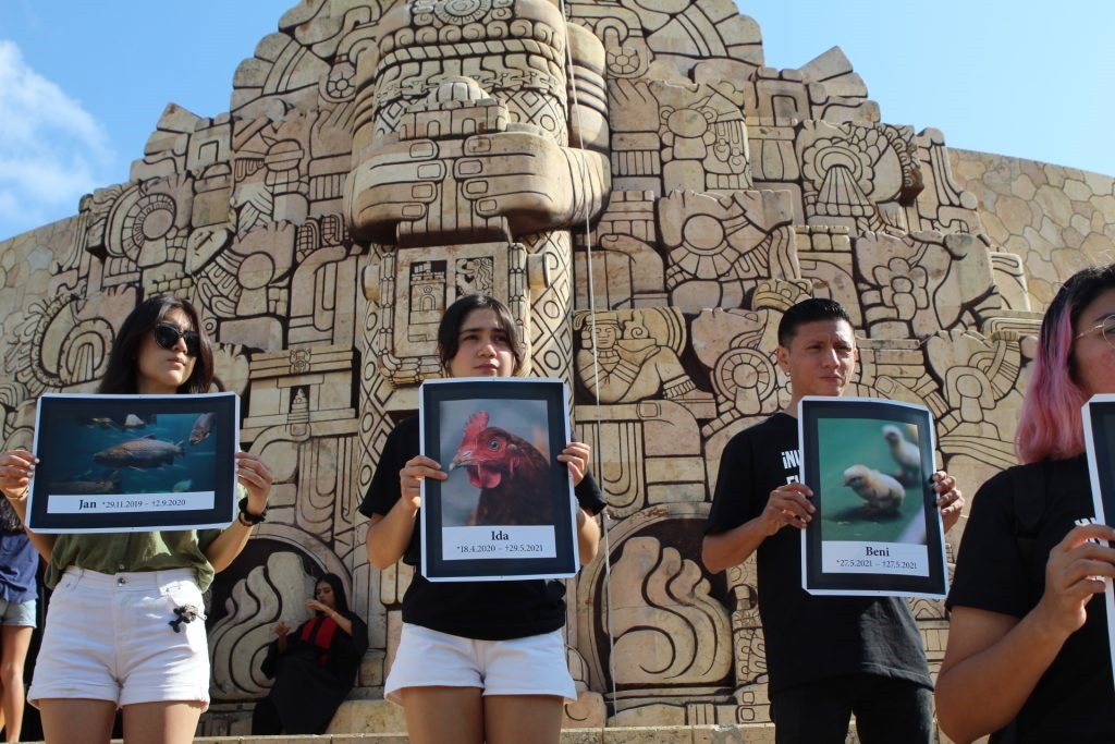 Imagen De Whatsapp 2025 01 10 A Las 20.18.03 D6895de1