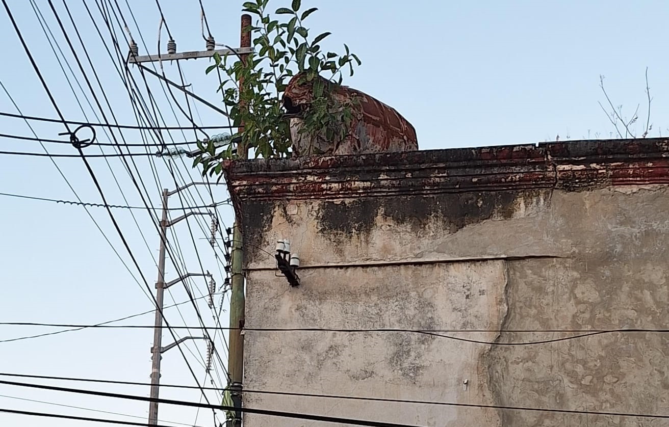 Imagen De Whatsapp 2025 01 11 A Las 12.33.25 04868f6f