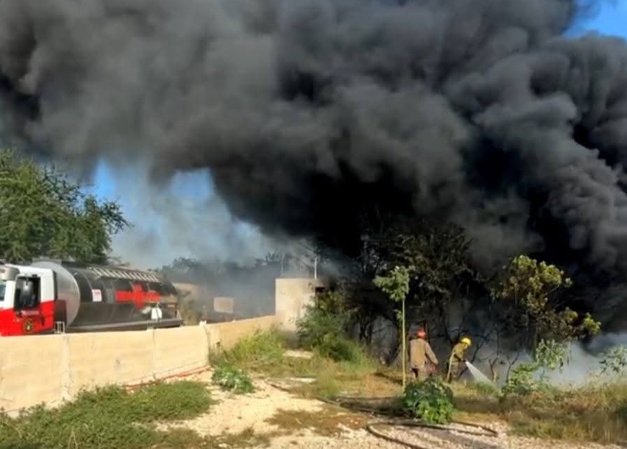 Imagen De Whatsapp 2025 01 25 A Las 10.12.08 Daed9487