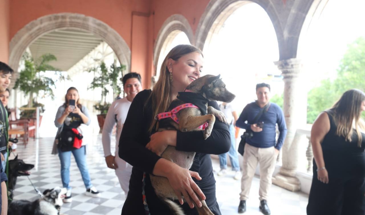 Imagen De Whatsapp 2025 01 25 A Las 11.59.38 130218c6