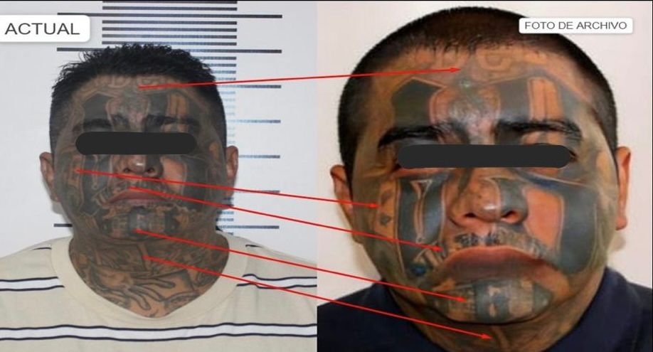 Imagen De Whatsapp 2025 02 08 A Las 15.13.57 F6c0a46d