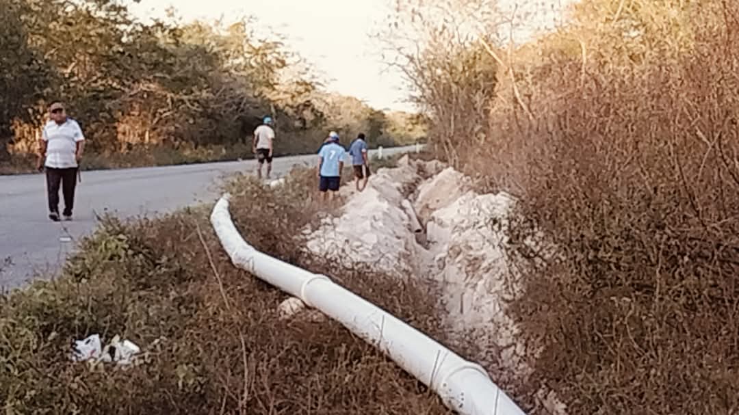 Imagen de whatsapp 2025 04 12 a las 10.28.05 df382b8f