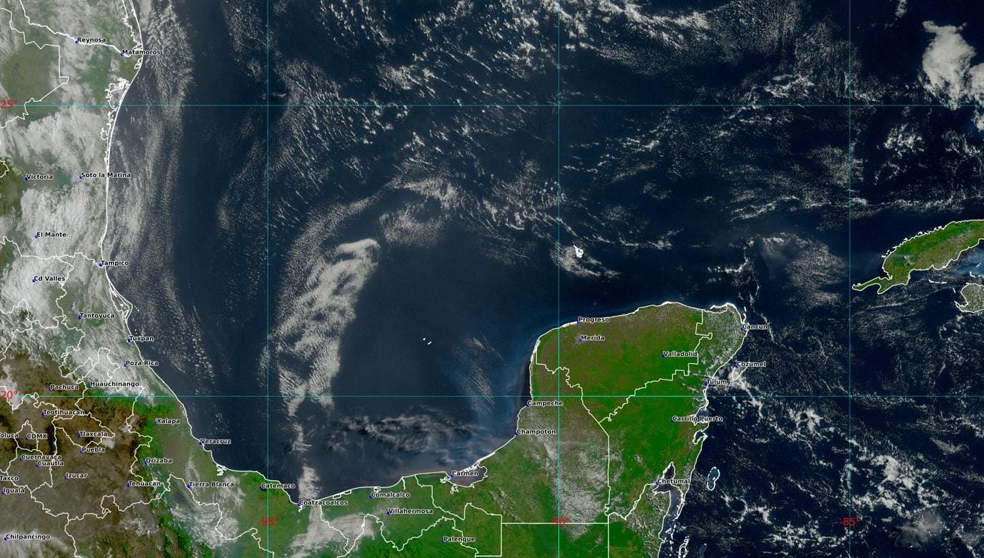 Imagen de whatsapp 2025 04 26 a las 11.31.08 6c30f872