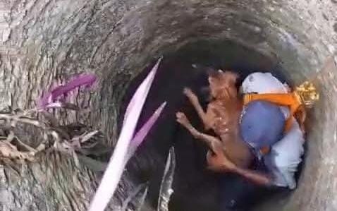 Imagen de whatsapp 2025 04 26 a las 11.36.35 4681153f