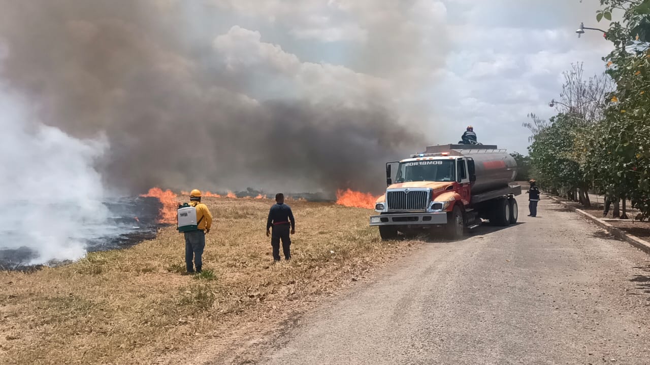 Imagen de whatsapp 2025 04 26 a las 11.58.41 183770e5