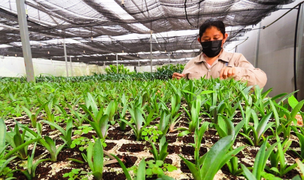 Img 20250511 wa0060(1)