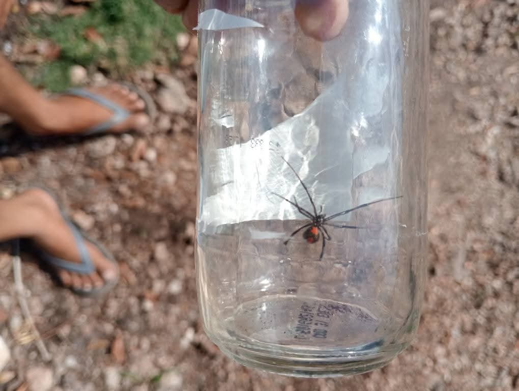 Imagen de whatsapp 2025 05 02 a las 18.19.09 a4647990