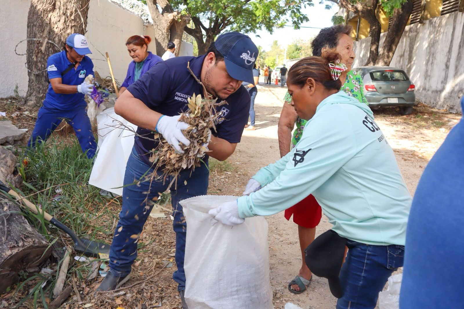 Imagen de whatsapp 2025 05 03 a las 10.01.18 c0df202f