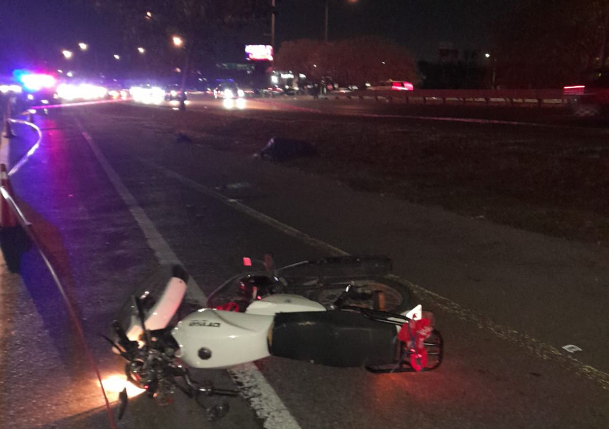 Imagen de whatsapp 2025 05 03 a las 21.50.02 0b1832aa