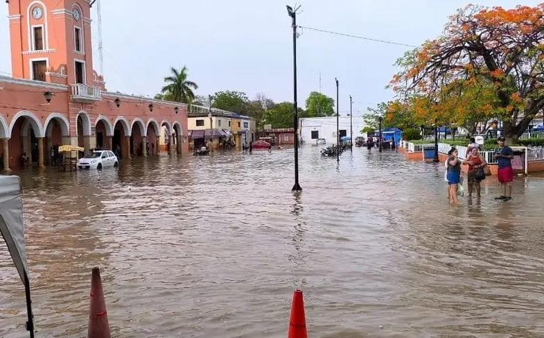 Imagen de whatsapp 2025 05 10 a las 12.43.53 d93077a9