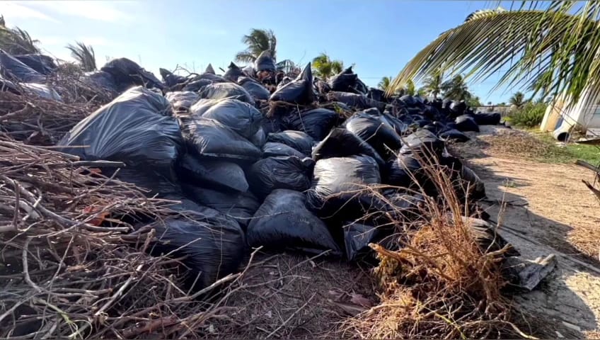 Imagen de whatsapp 2025 05 10 a las 13.52.05 e3810abe