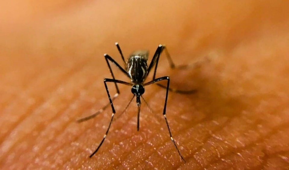 Imagen de whatsapp 2025 05 17 a las 09.33.19 efa3e42b