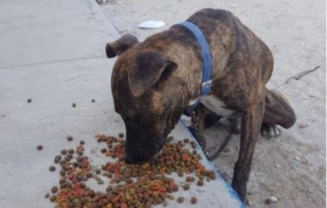 Imagen de whatsapp 2025 05 17 a las 09.38.36 caeb8a97