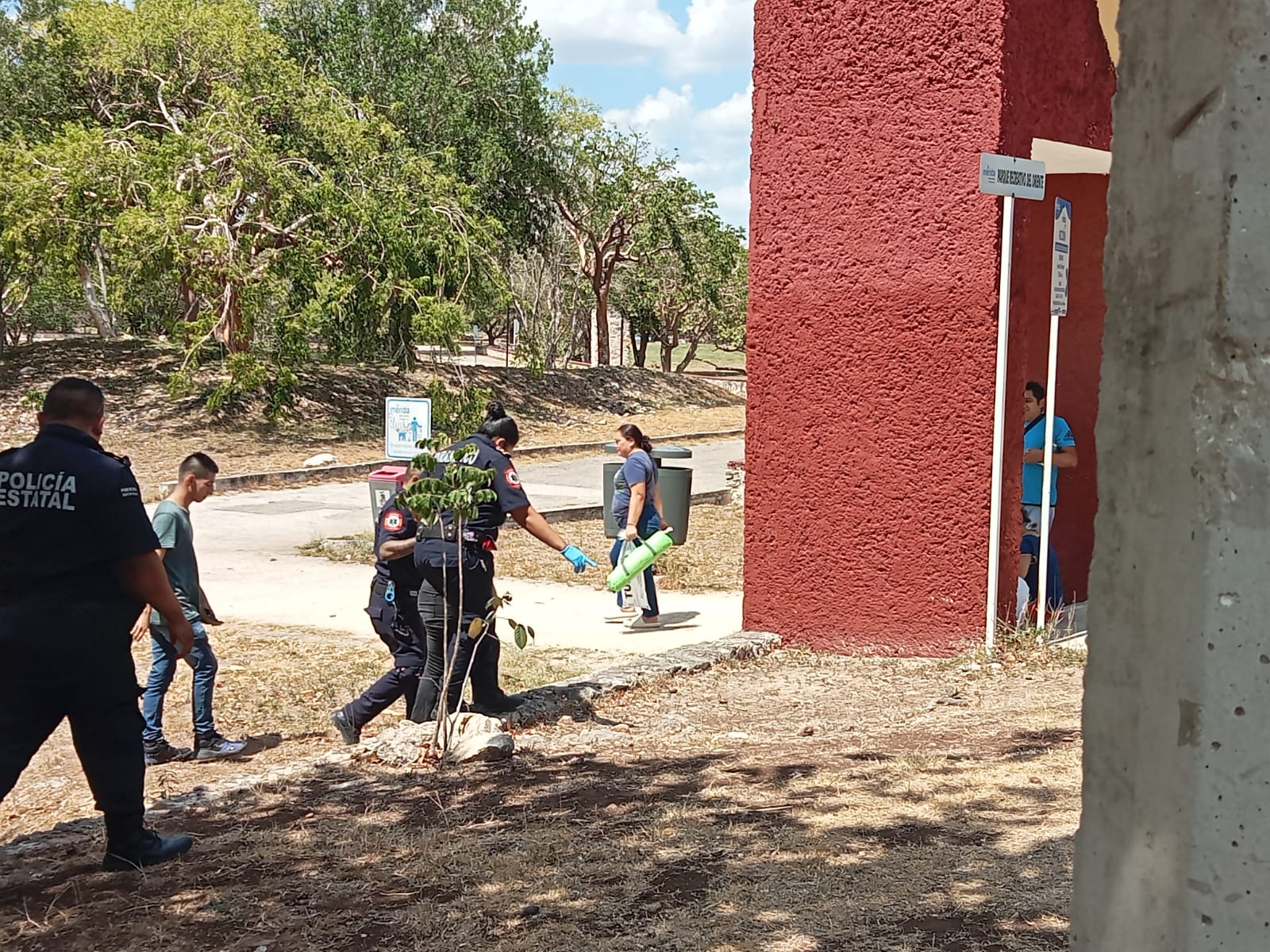 Imagen de whatsapp 2025 05 17 a las 13.53.05 2dcc8870