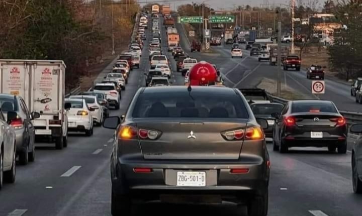 Imagen de whatsapp 2025 05 31 a las 10.35.03 6cfc7d8e