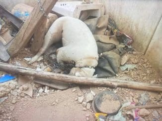 Fb img 1748903921690